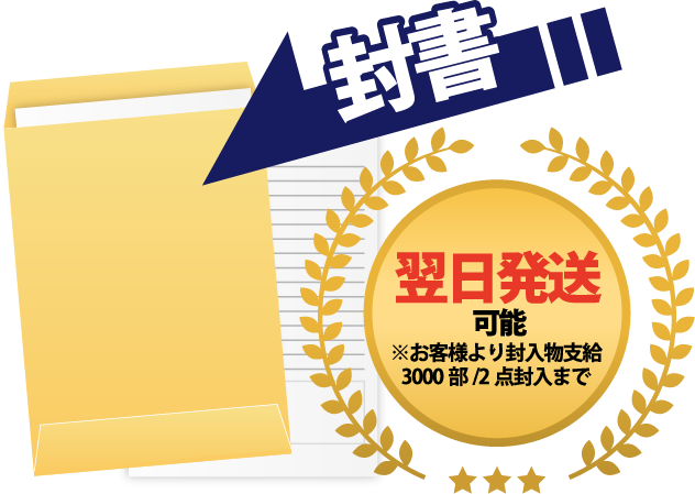 封書 翌日発送可能※お客様より封入物支給3000部/2点封入まで
