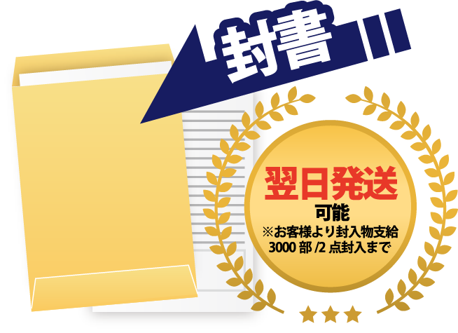 封書 翌日発送可能※お客様より封入物支給3000部/2点封入まで