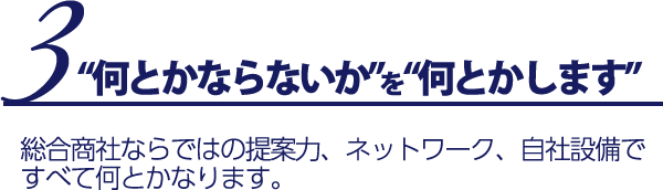 3 何とかならないかを何とかします 総合商社ならではの提案力、ネットワーク、自社設備ですべて何とかなります。